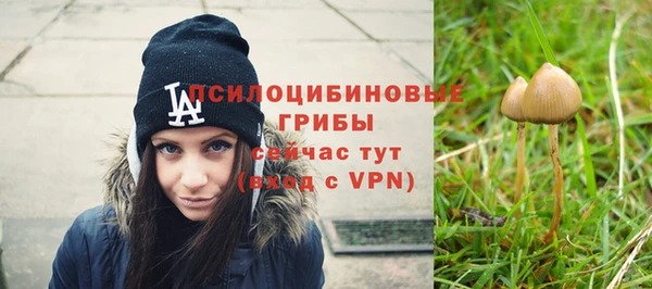 дистиллят марихуана Заводоуковск