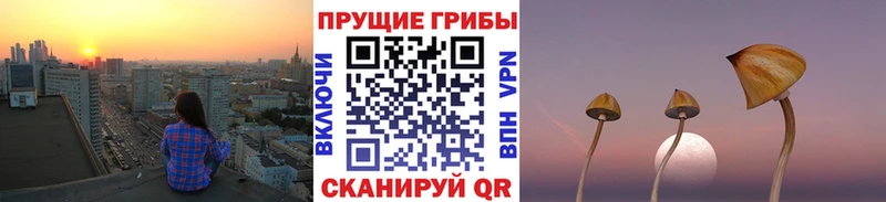 Купить где  Дорогобуж  Галлюциногенные грибы MAGIC MUSHROOMS 