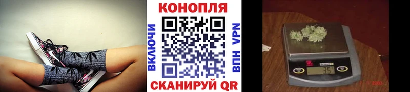 Канабис MAZAR  Купить закладки  Дорогобуж 
